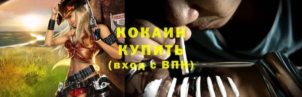 ешки Аркадак