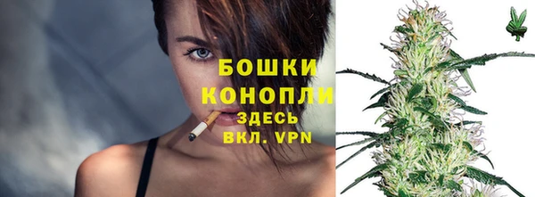 ешки Аркадак