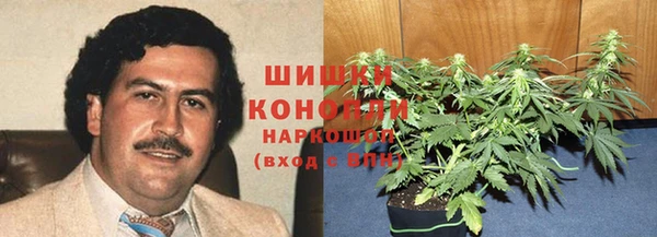 ешки Аркадак