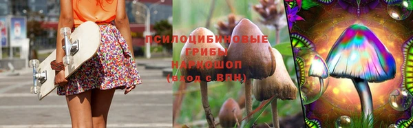 ешки Аркадак